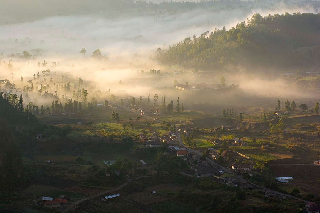 Desa Pinggan - Wisata Romantis di Bali