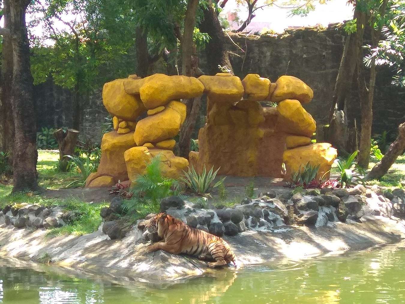 Kebun Binatang Surabaya - Wisata Anak di Surabaya