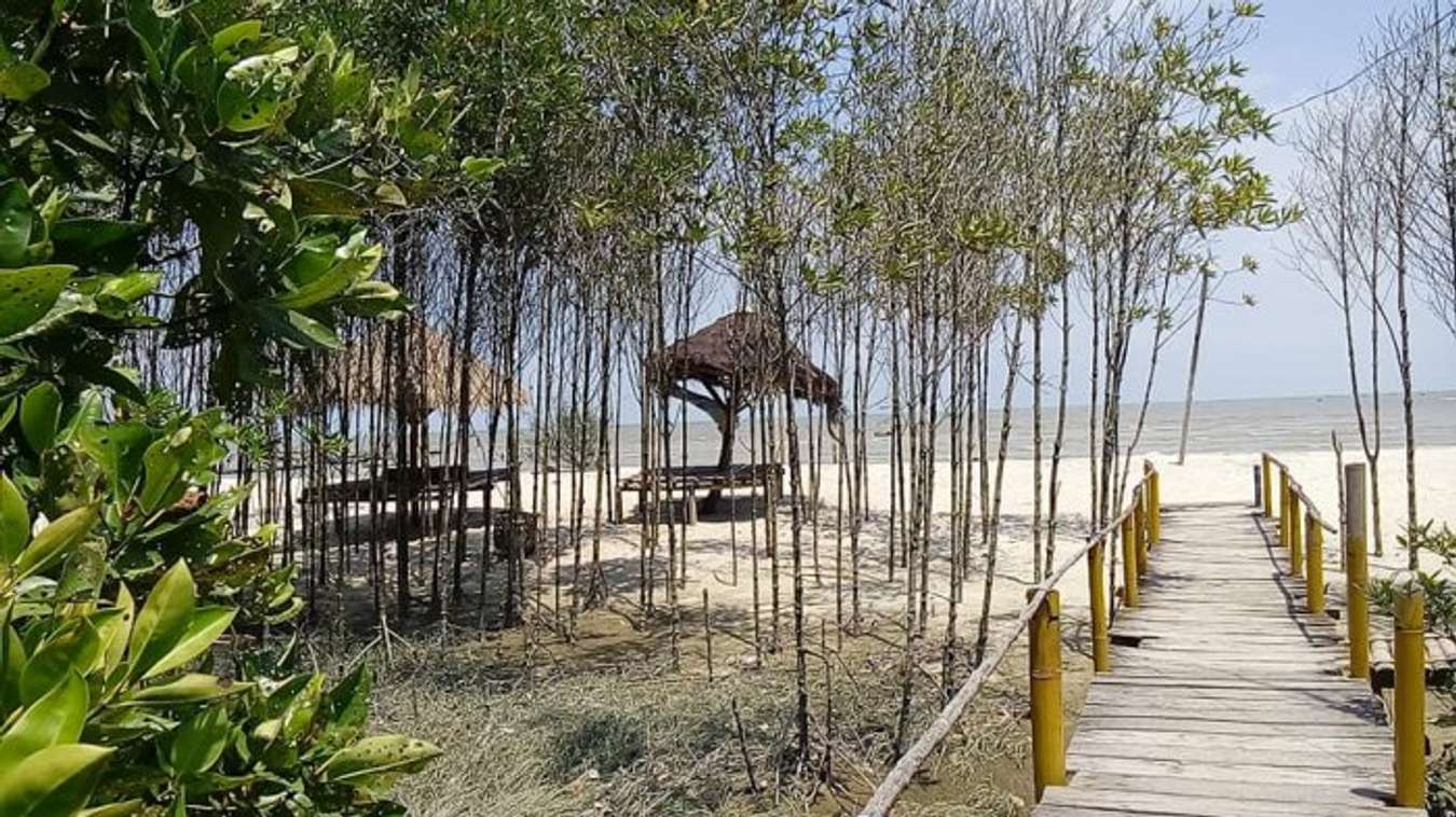 Mangrove Kampung Nipah - Wisata Romantis di Medan