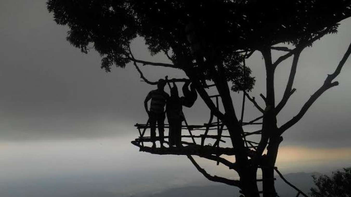 Rumah Pohon Igir Waringin - Wisata di Purbalingga