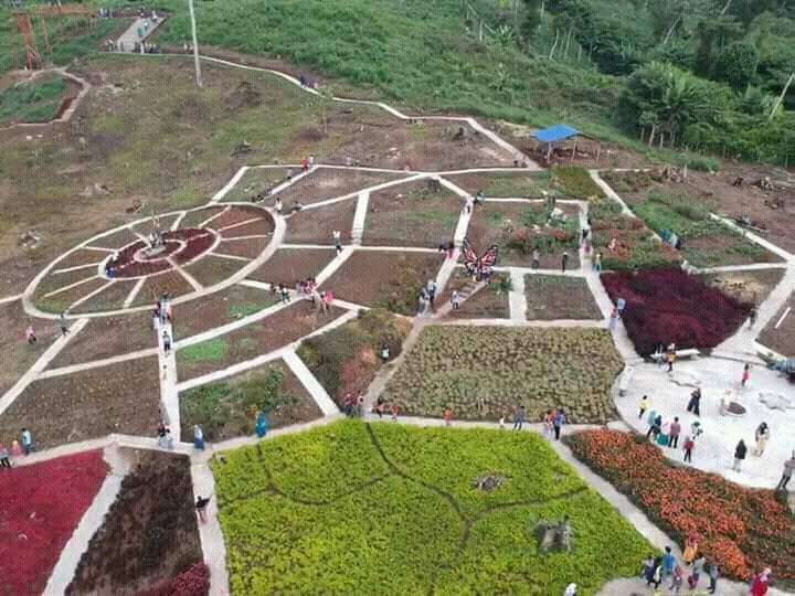 Taman Bunga Puncak Tonang - Wisata Instagramable di Padang