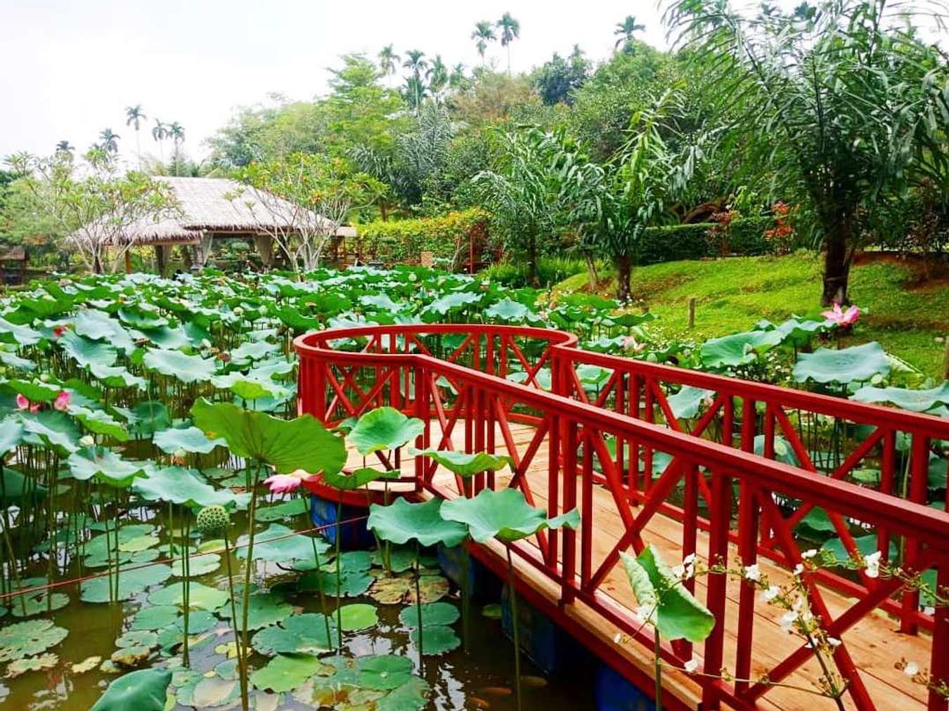 The Le Hu Garden - Wisata Romantis di Medan