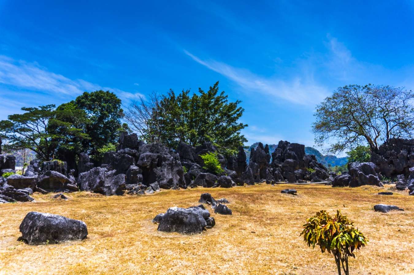 Leang-Leang Stone Garden - Wisata di Makassar