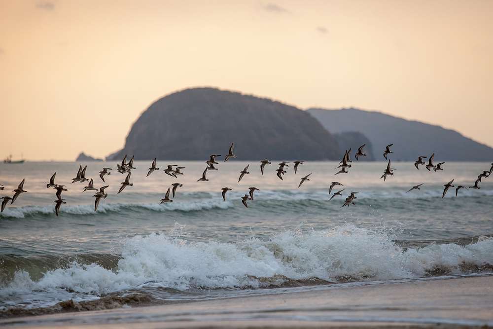 ที่เที่ยวทะเลปราณบุรี