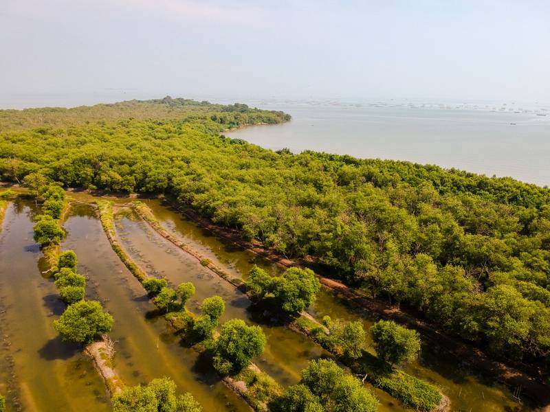 Cagar Alam Pulau Dua