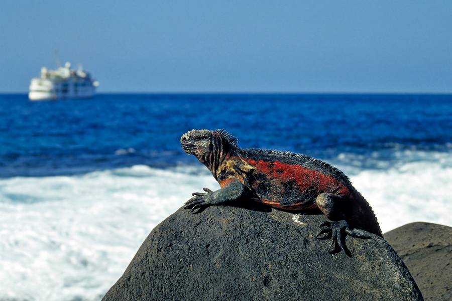 Galapagos Marine Reserve