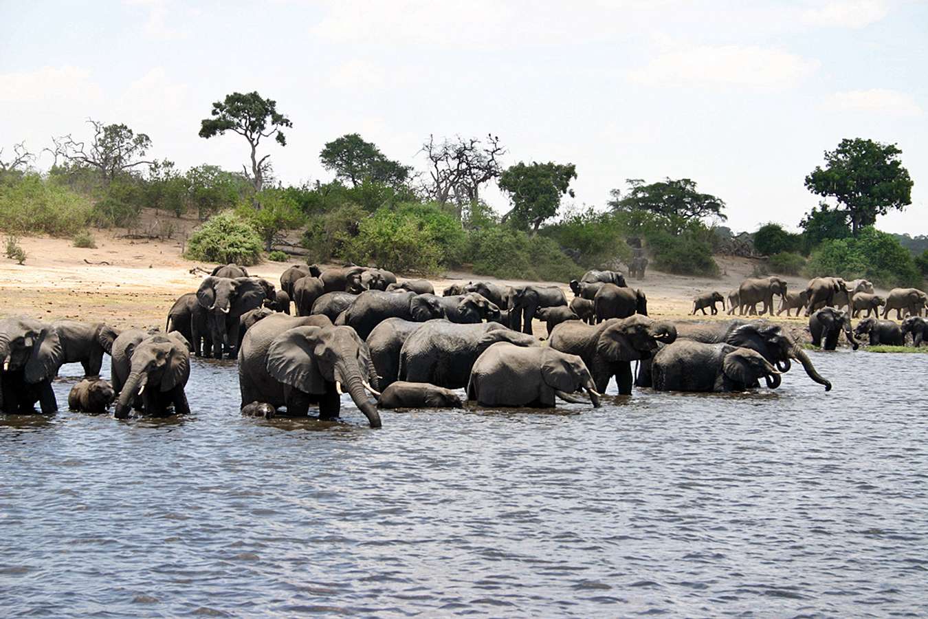 The Kavango Zambezi Transfrontier Conservation Area