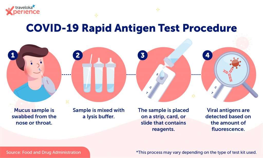 Rapid antibody adalah