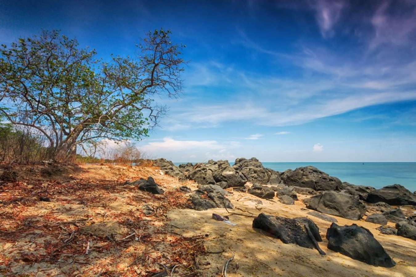 Pantai Bama di Taman Nasional Baluran