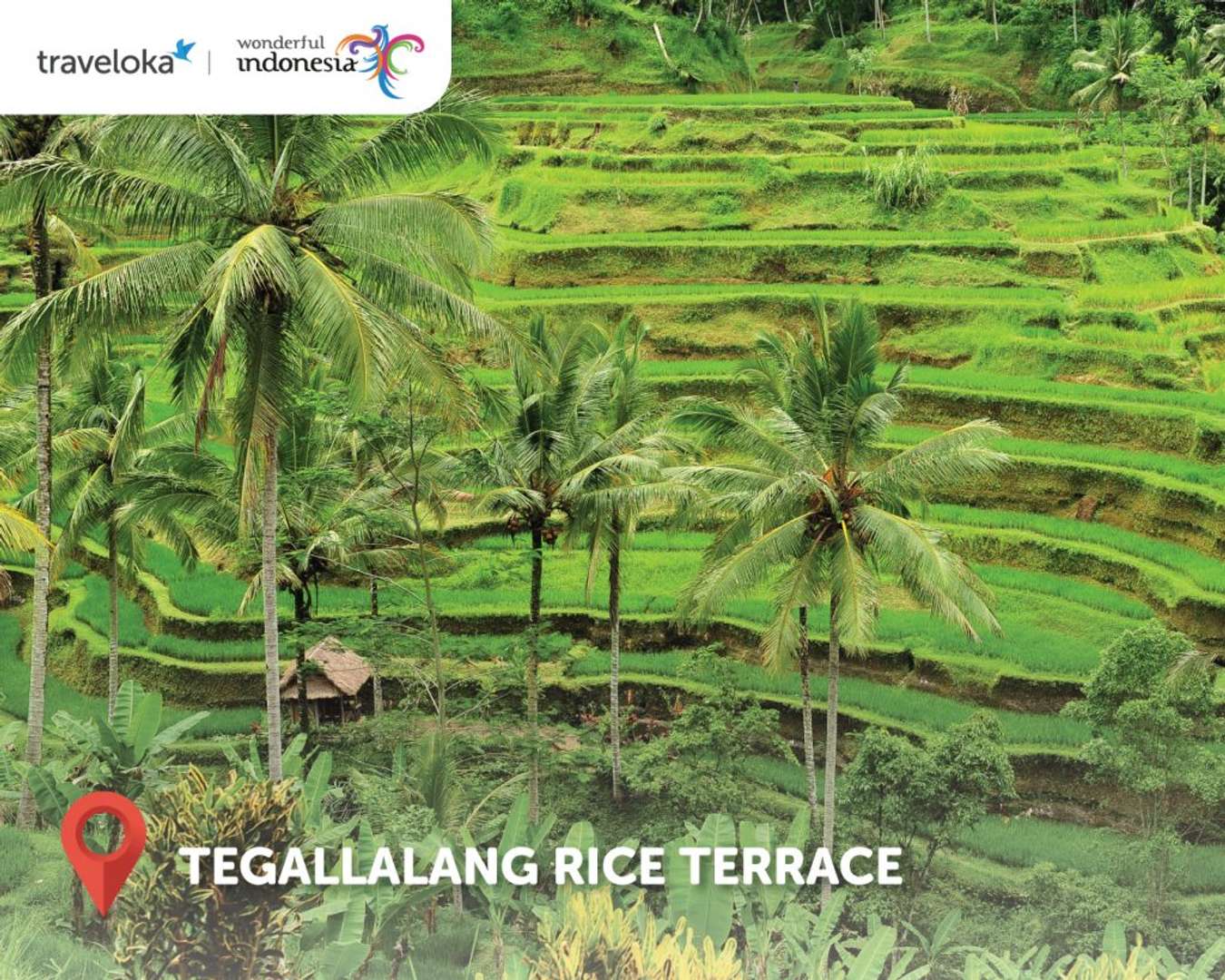 Tegallalang Rice Terrace