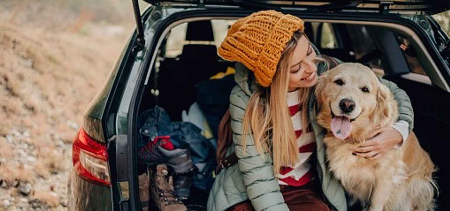 5 Tips for Car Travel With Dogs