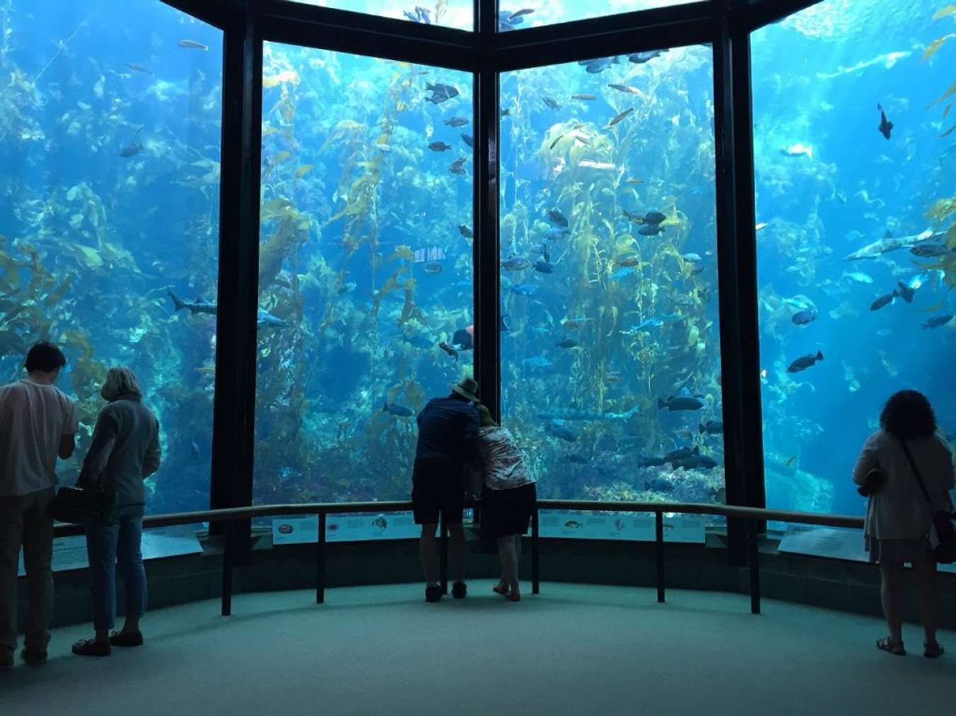 Monterey Bay Aquarium 