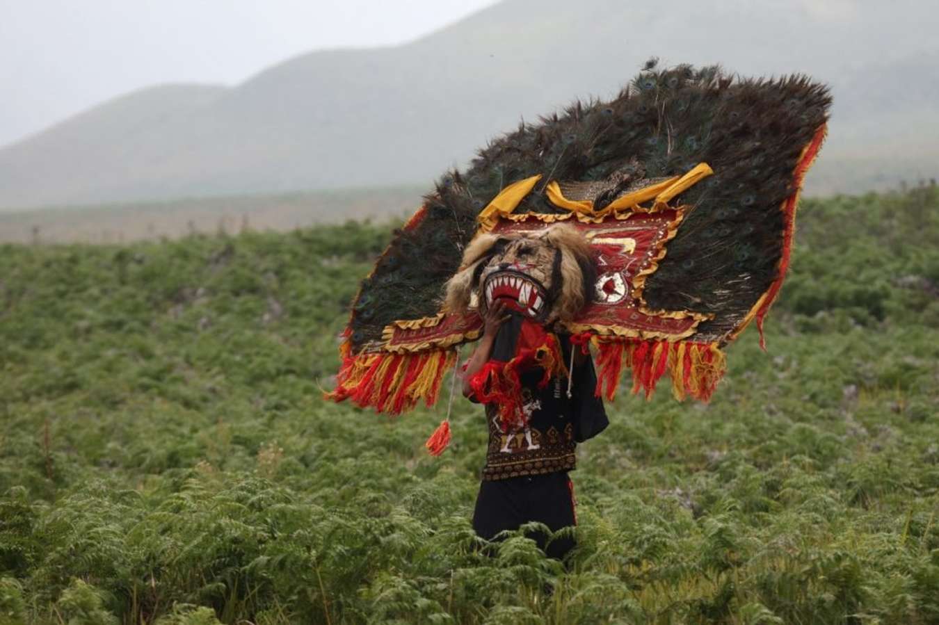 Reog Ponorogo - Kebudayaan Indonesia yang Mendunia