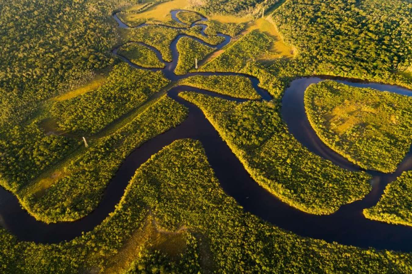 Sungai Amazon - Sungai Terpanjang di Dunia