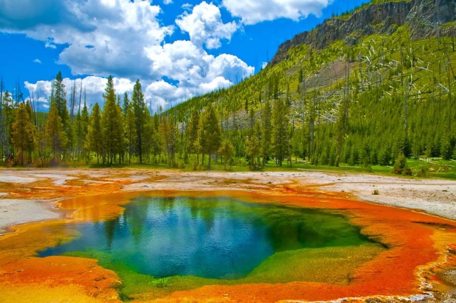 Yellowstone National Park - Taman Nasional Terpopuler di Dunia