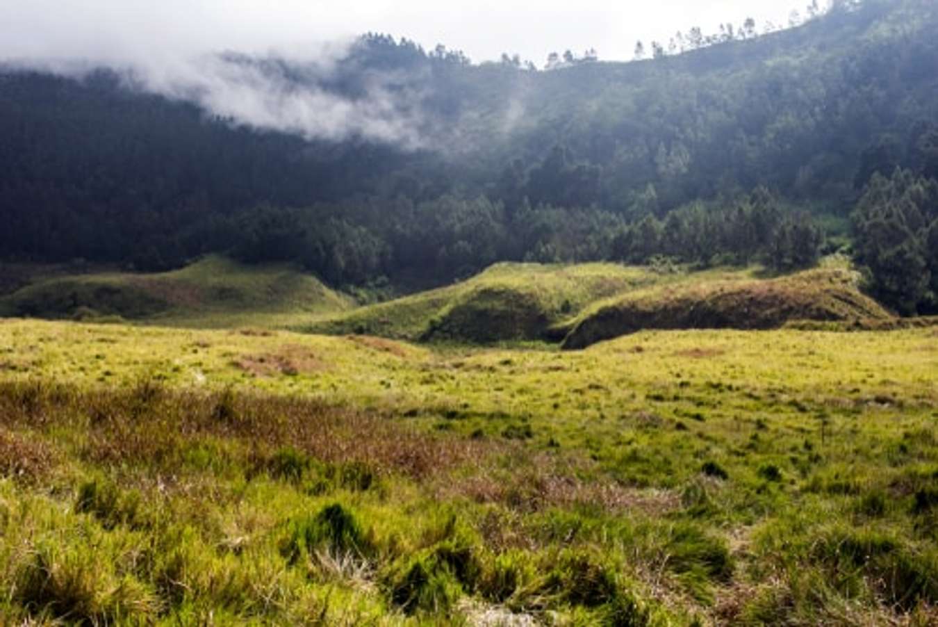 Destinasi Wisata Lembah Di Indonesia 6437