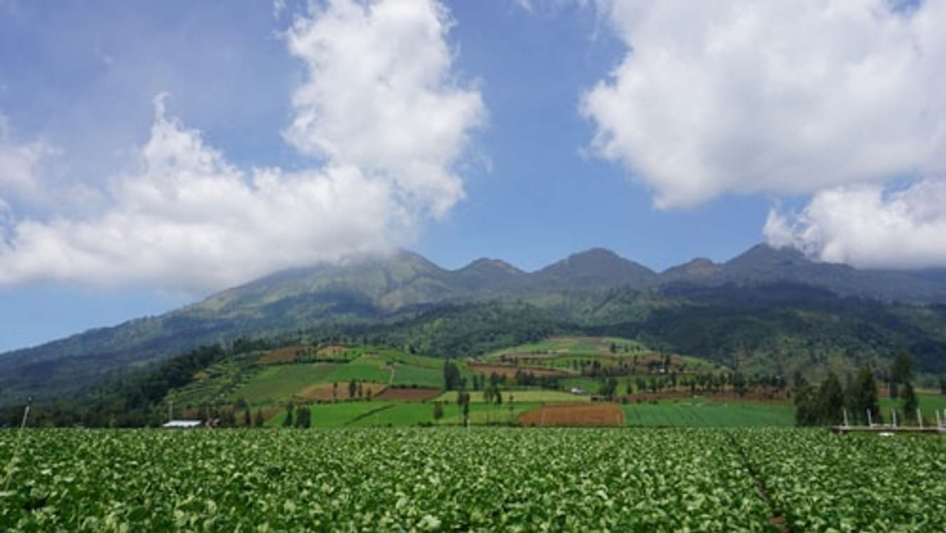 Gunung Tertinggi di Jawa