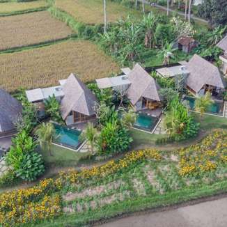 Lasamana Villas Ubud - Vila dengan private pool di Ubud