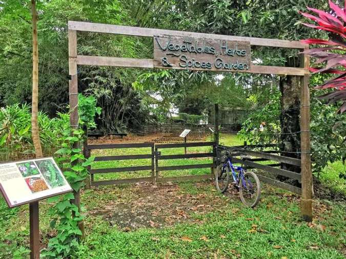 Pulau Ubin The Rustic Little Gem Of Singapore