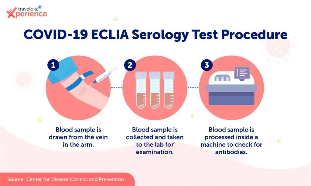 Infographic ECLIA Serology EN 1024x615 1