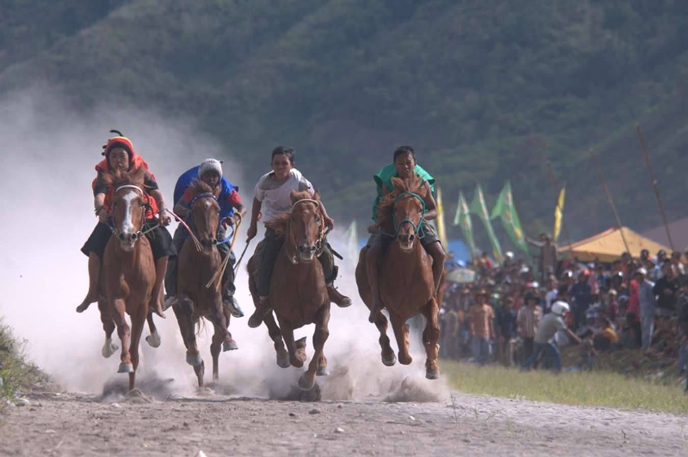 Pacu Kude - Tradisi Perayaan Hari Kemerdekaan Indonesia dari berbagai daerah