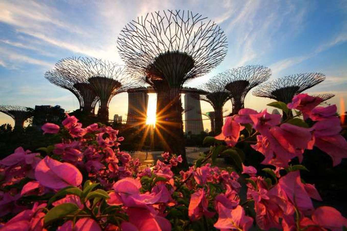 12 Parks In Singapore For Your Greenery