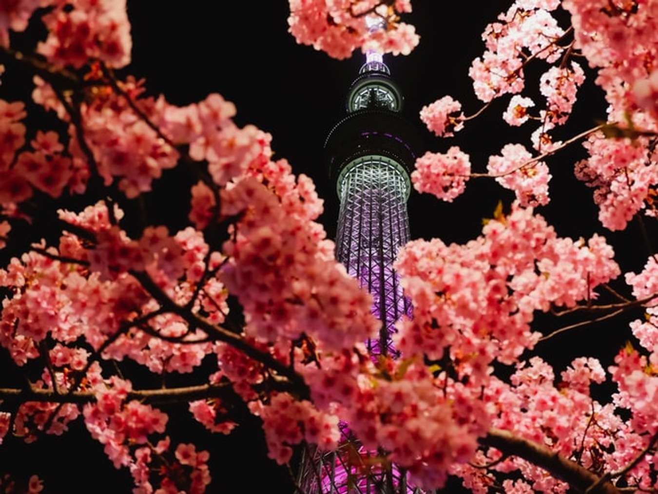 Tokyo Skytree