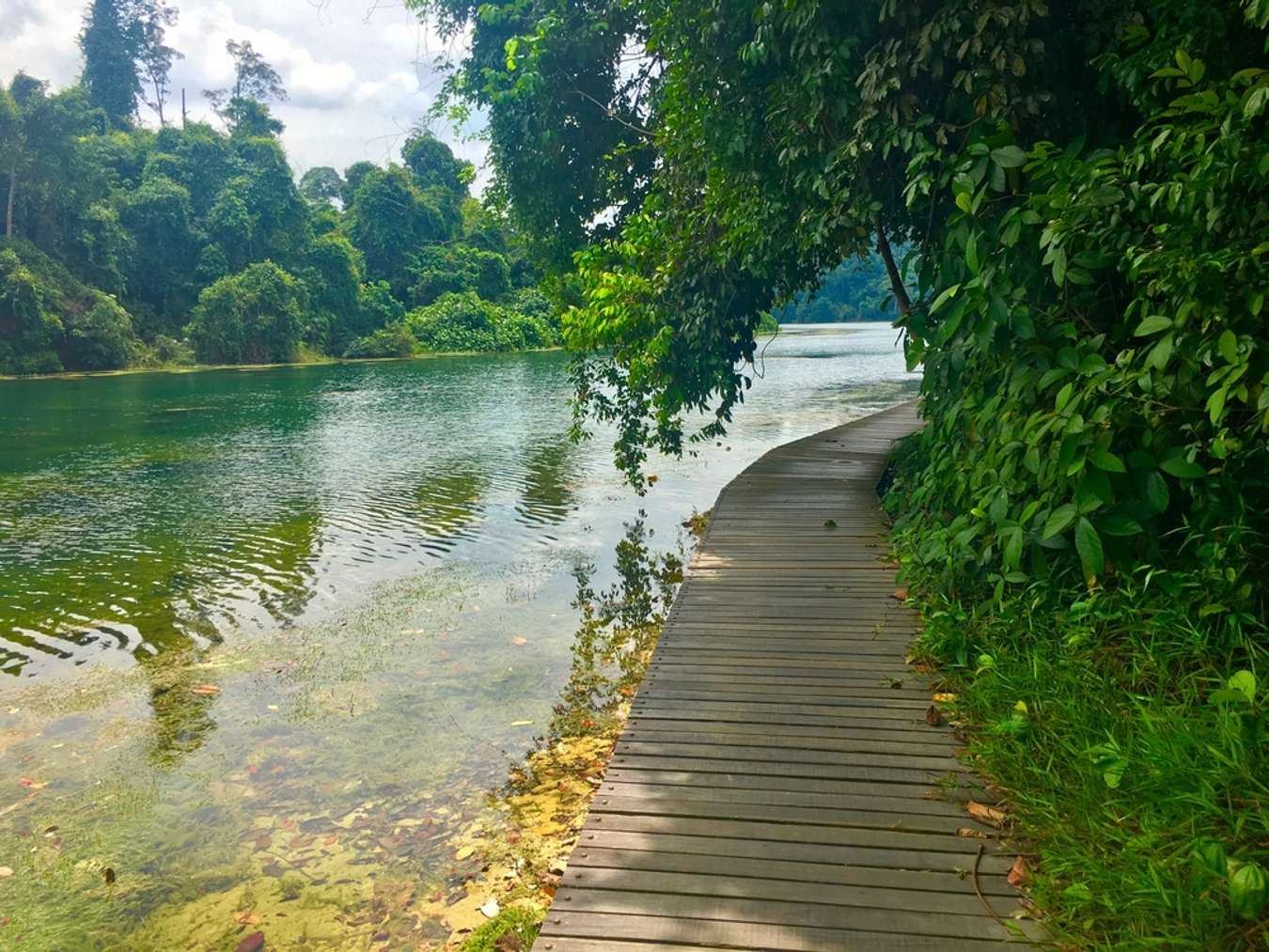 10 Best Places to Go Hiking in Singapore