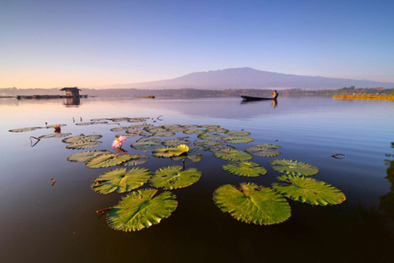 Destinasi Wisata di Pasuruan - Danau Ranu Grati