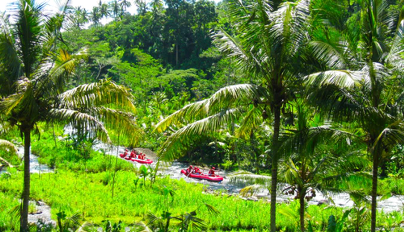 Destinasi Wisata di Ubud - Sungai Ayung