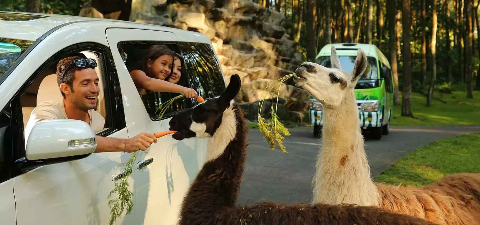 ke taman safari prigen tanpa mobil