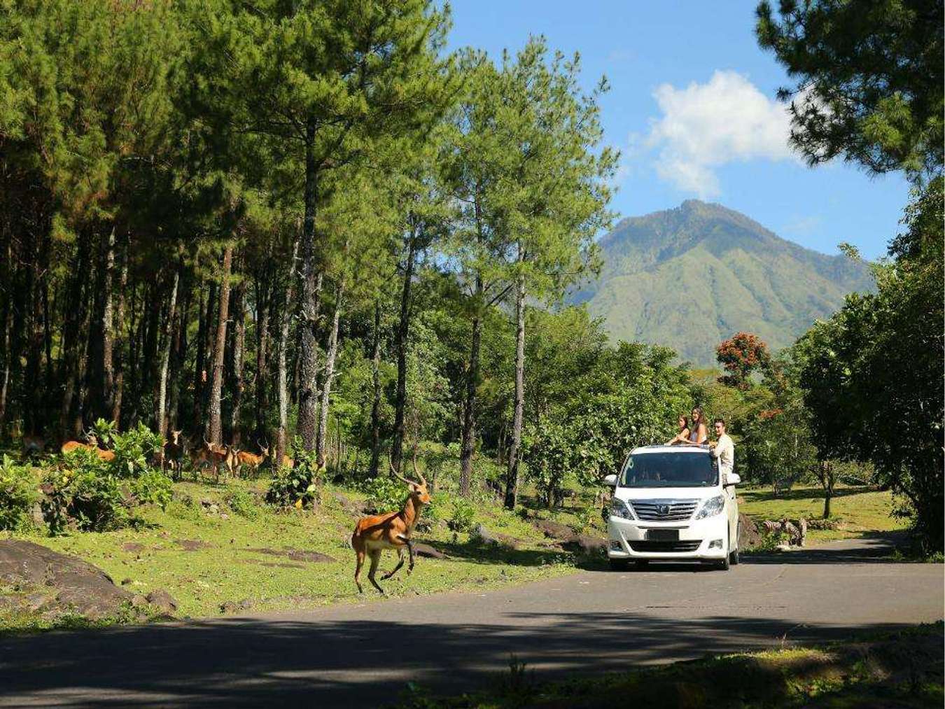 bisakah ke taman safari prigen naik motor