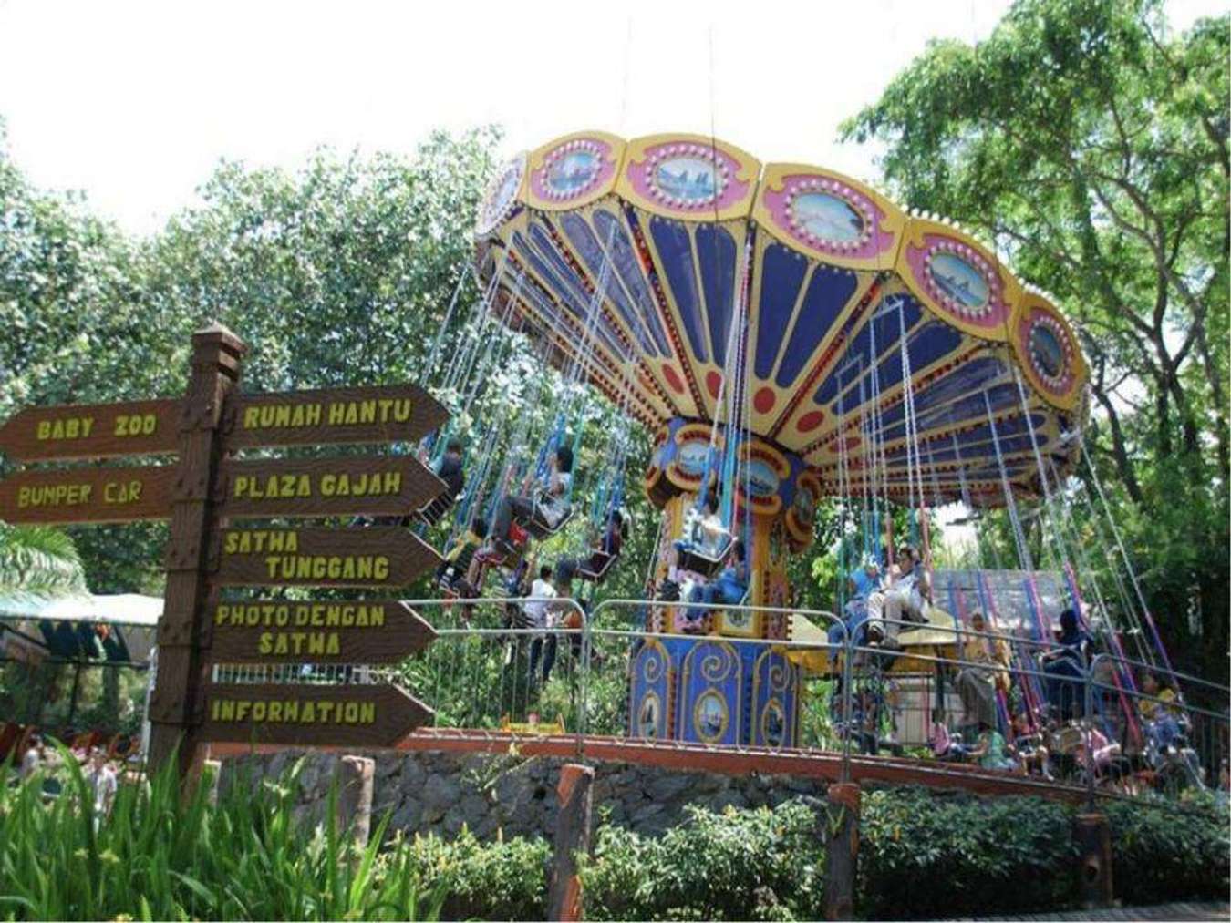 naik gajah di taman safari prigen