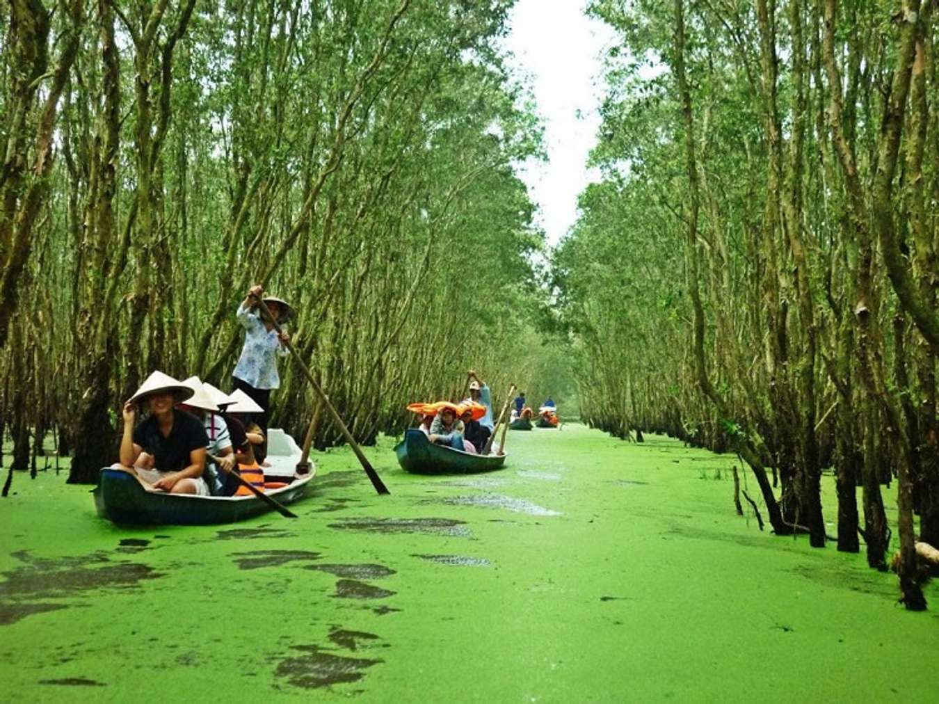 Kinh nghiệm du lịch Tiền Giang chi tiết nhất