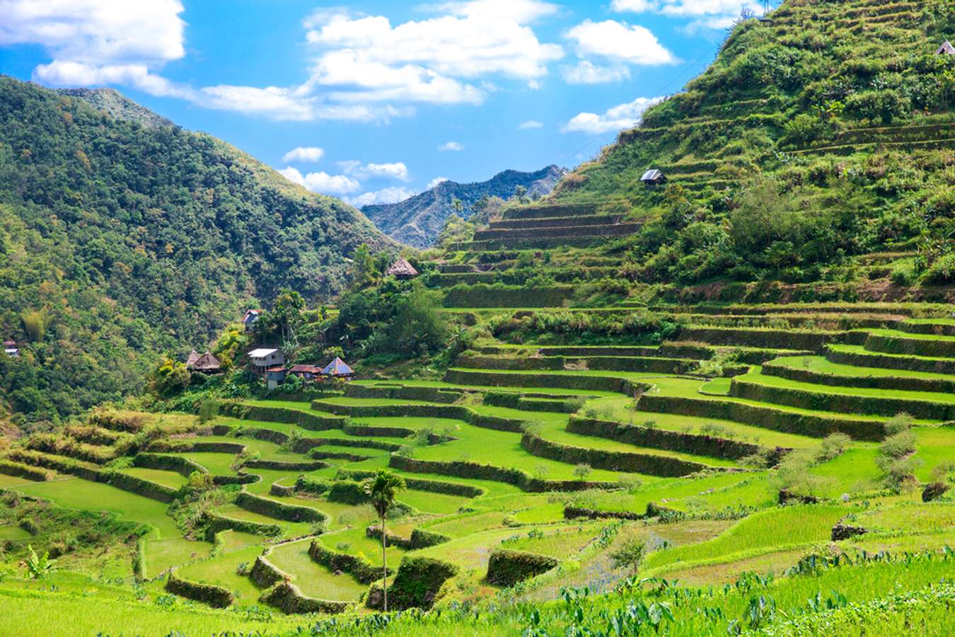 Destinasi Wisata Filipina - Banaue Rice Fields