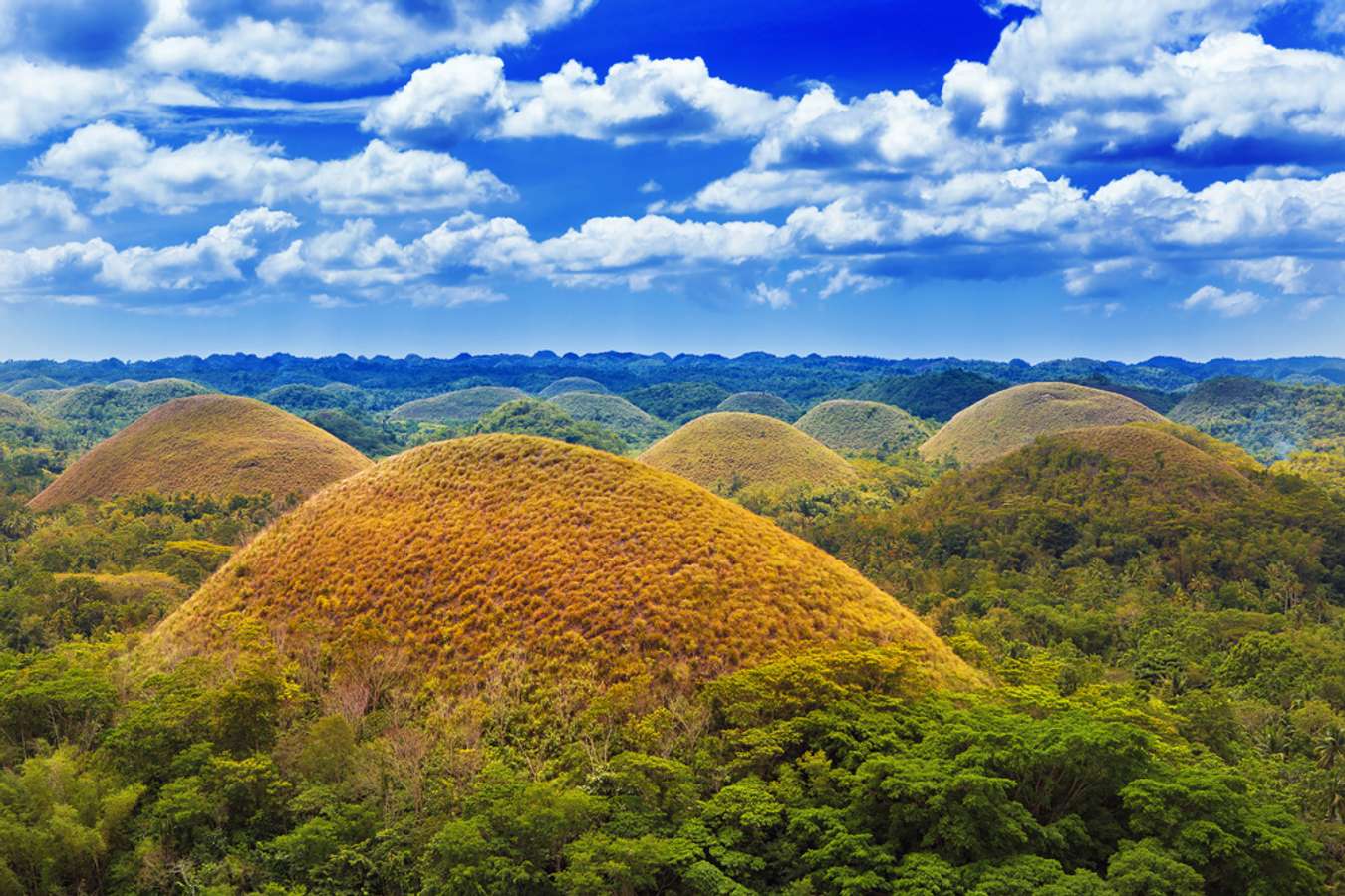 Destinasi Wisata Filipina - Chocolate Hills