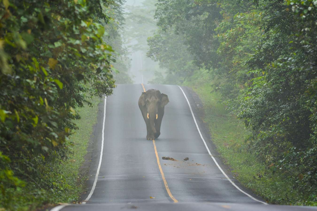 Destinasi Wisata Thailand - Khao Yai