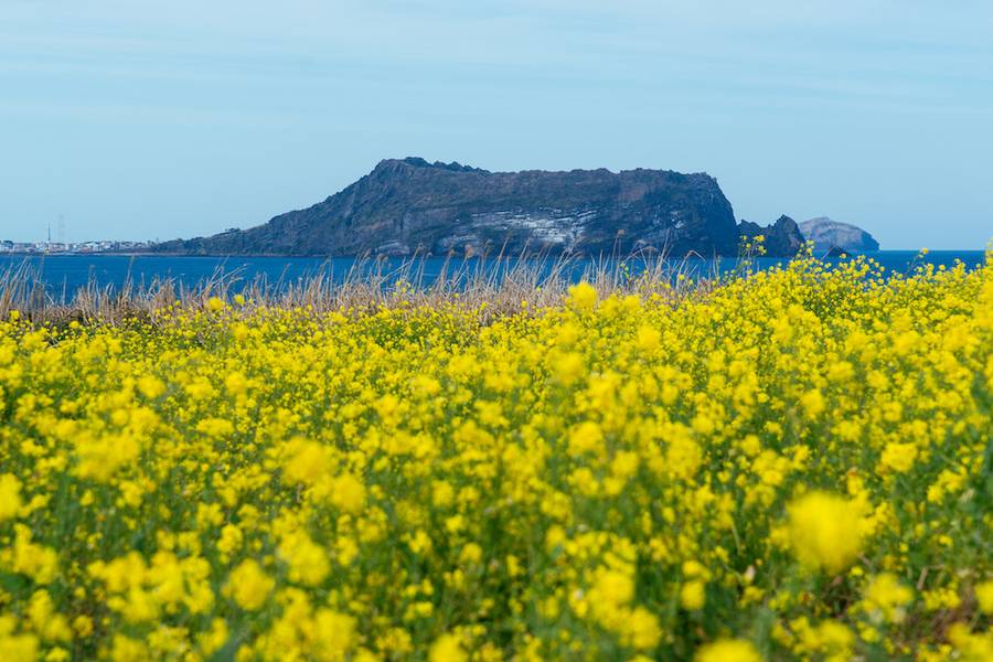 du lịch Jeju