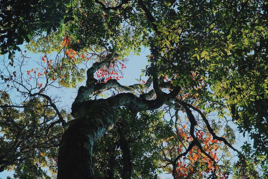 khám phá Lùng Cúng Yên Bái