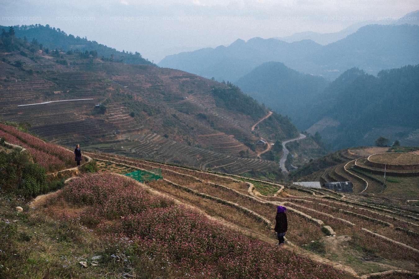 Tây Bắc mùa đông