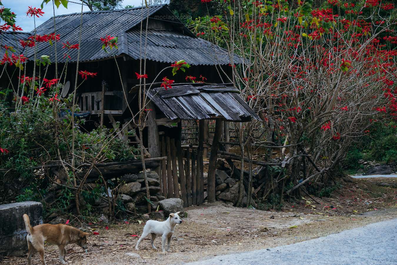 Tây Bắc mùa đông