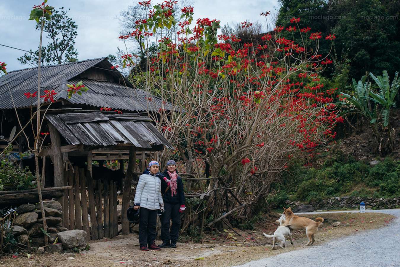 Tây Bắc mùa đông