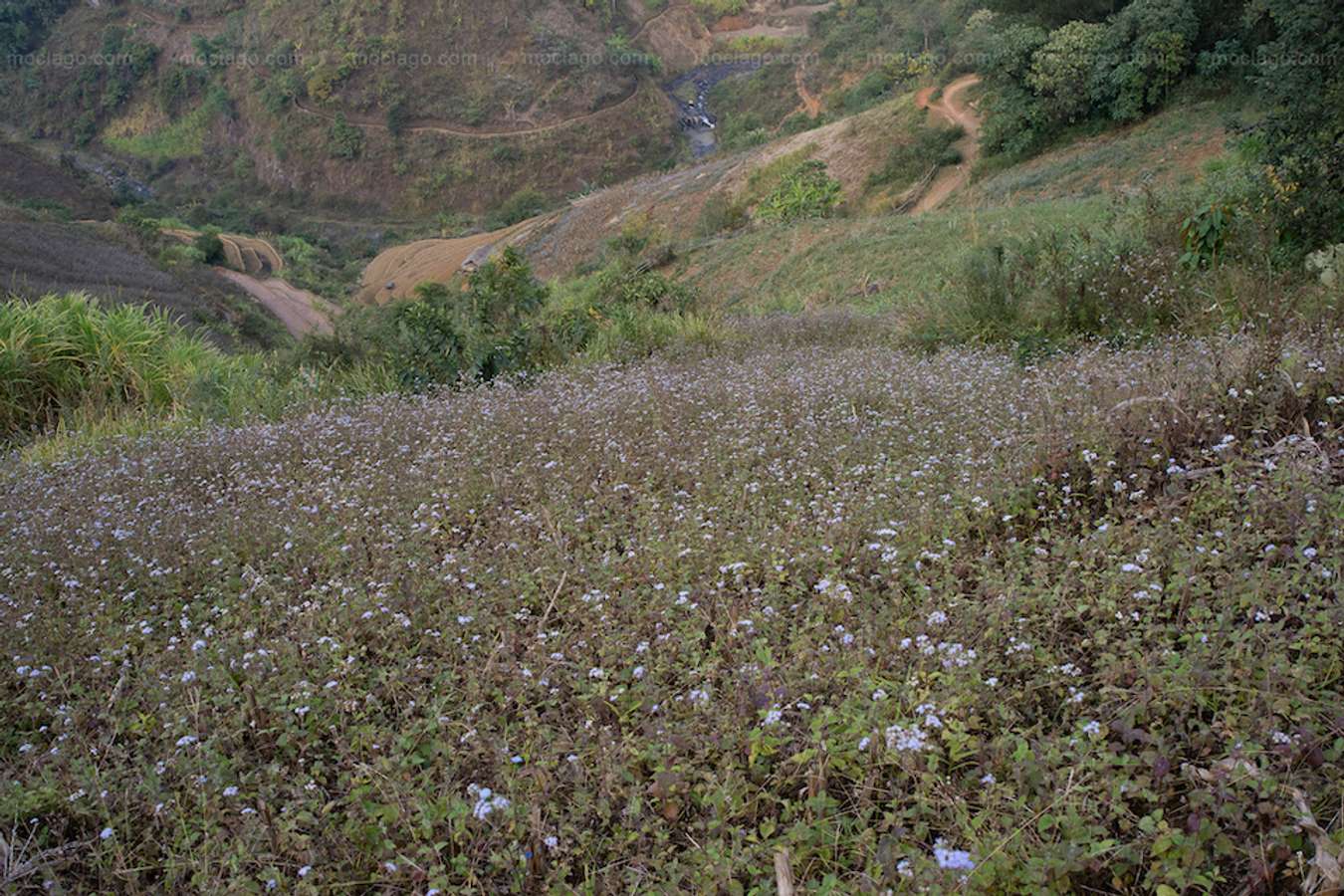 Tây Bắc mùa đông