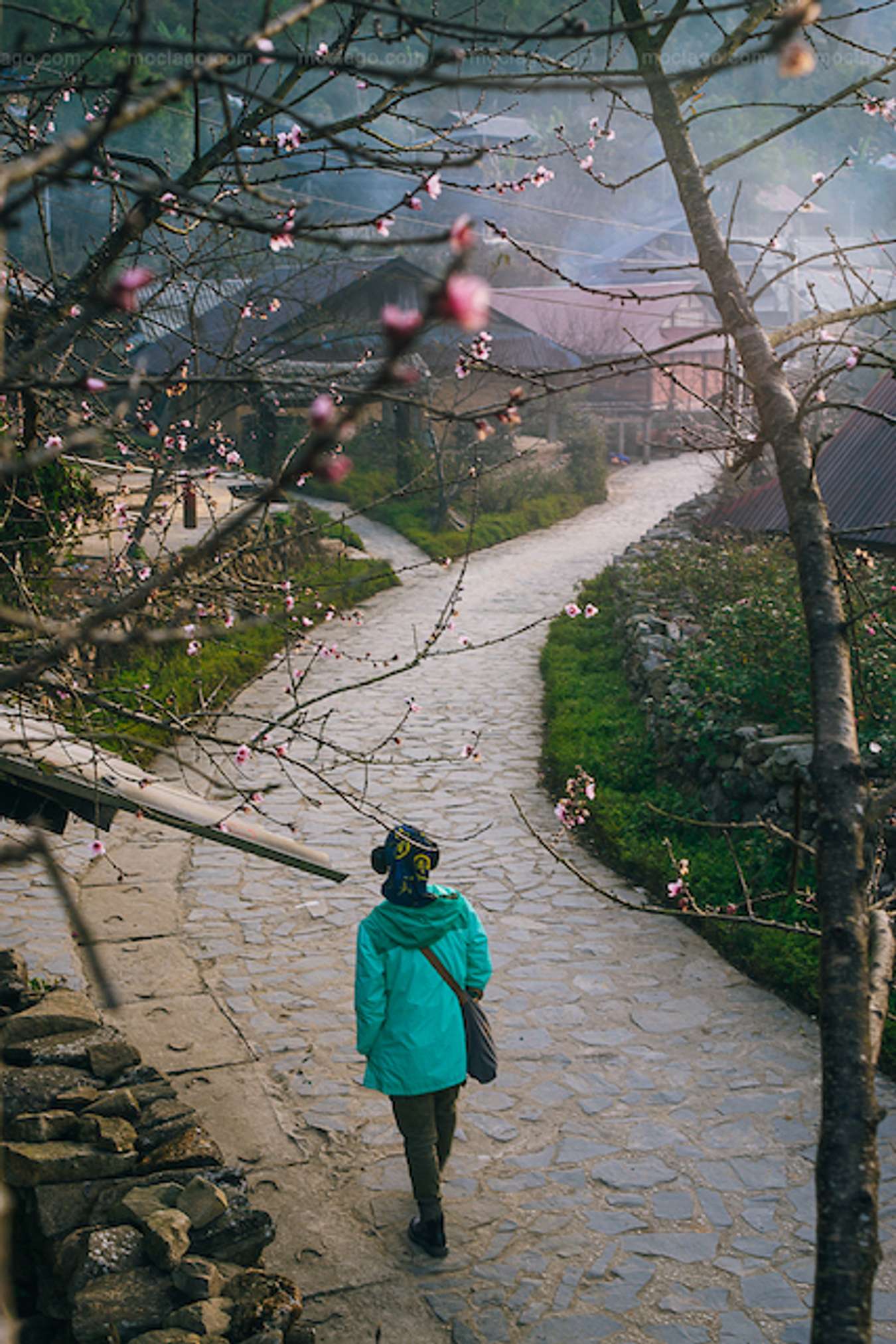 Tây Bắc mùa đông