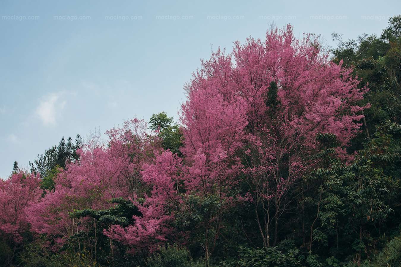 Tây Bắc mùa đông