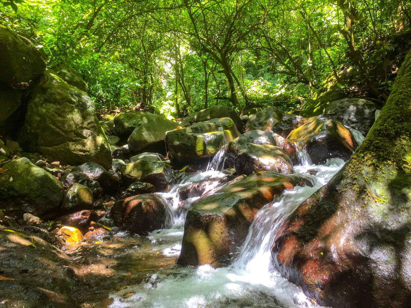 Destinasi Wisata Kediri - Air Terjun Dolo