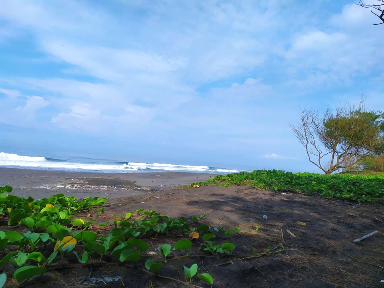 Pantai Jatimalang