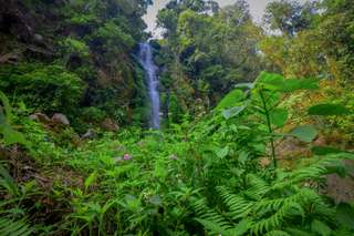 Air Terjun Semirang: Daya Tarik, Harga Tiket, dan Tips Berkunjung, Waktu baca 6 menit