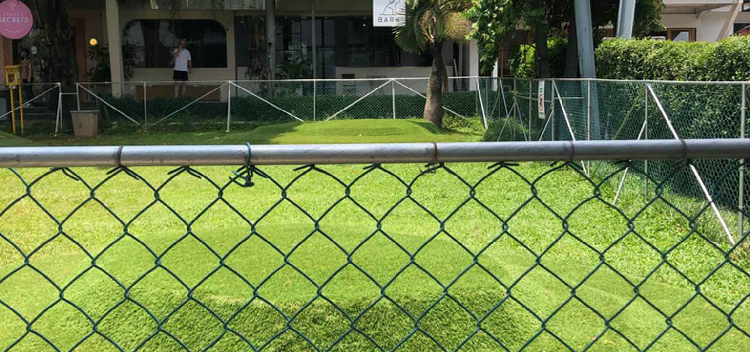 taman safari boleh bawa anjing