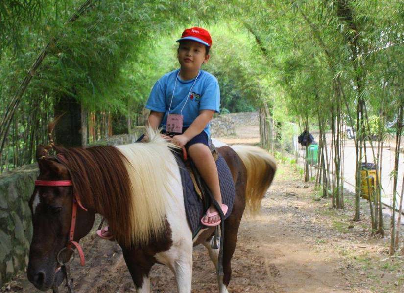 Tempat Wisata di Depok - D'Kandang Amazing Farm